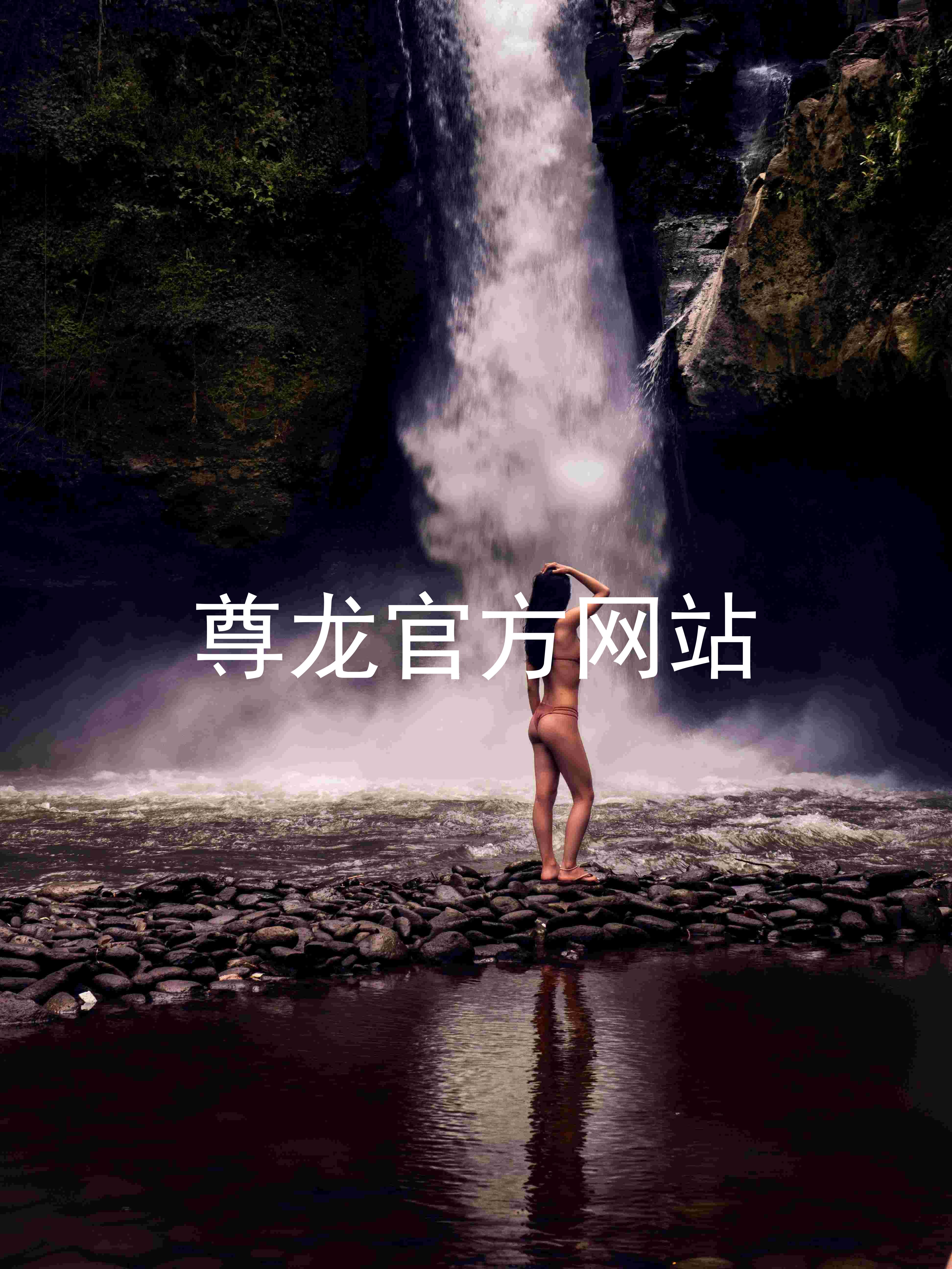 尊龙官方网站