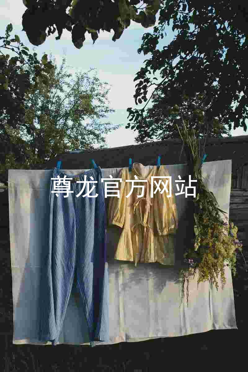 尊龙官方网站