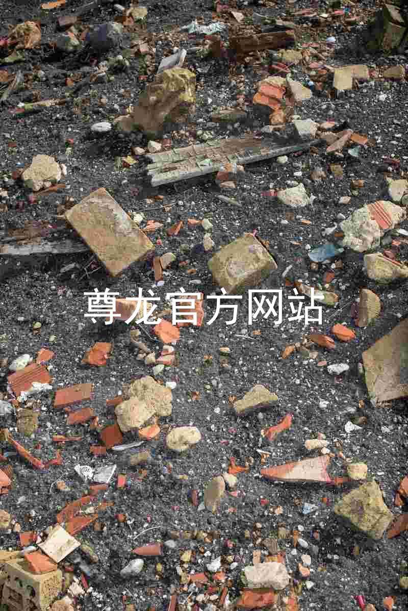 尊龙官方网站