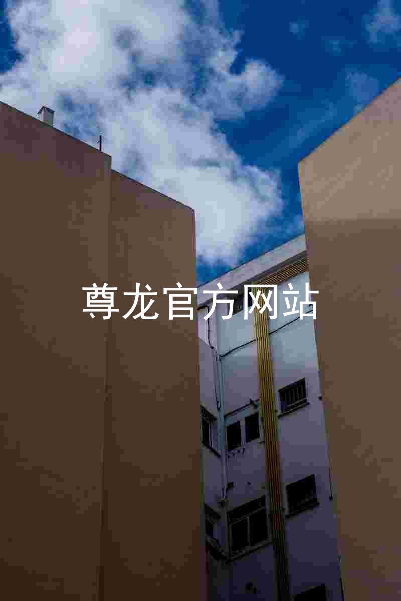 尊龙官方网站
