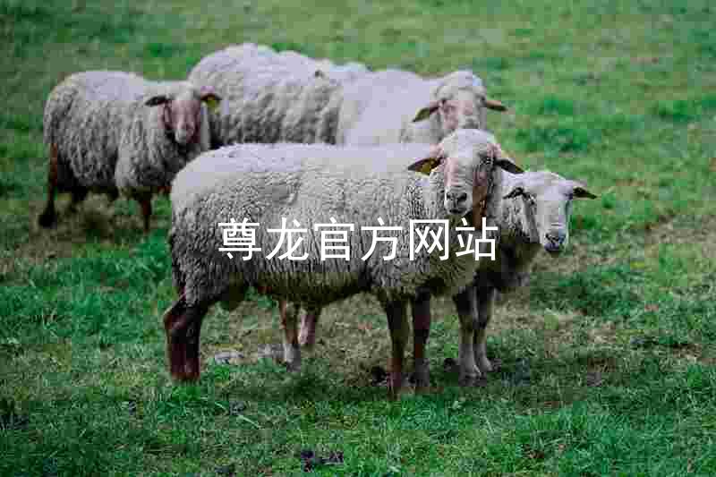尊龙官方网站