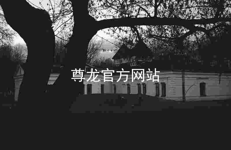 尊龙官方网站