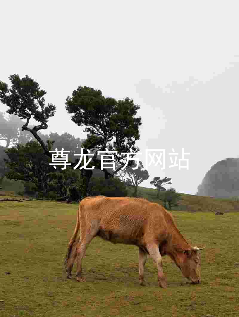 尊龙官方网站