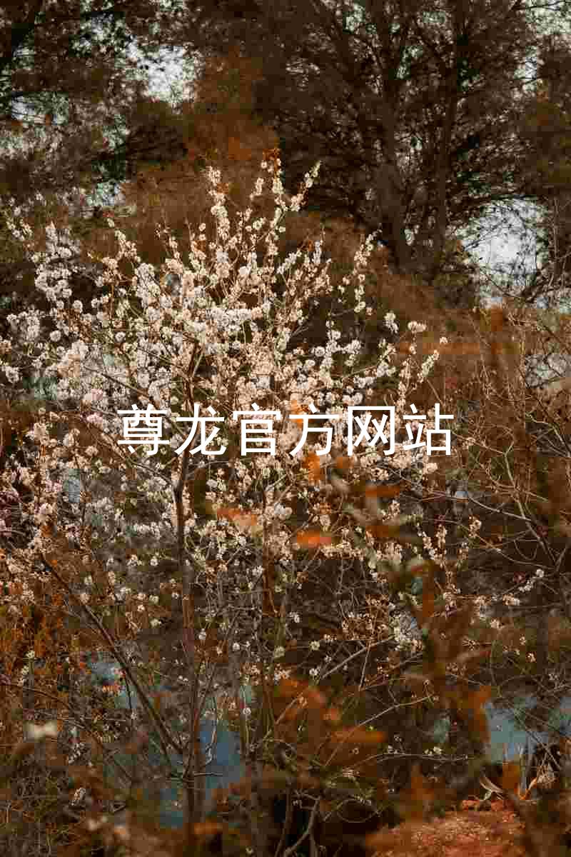 尊龙官方网站