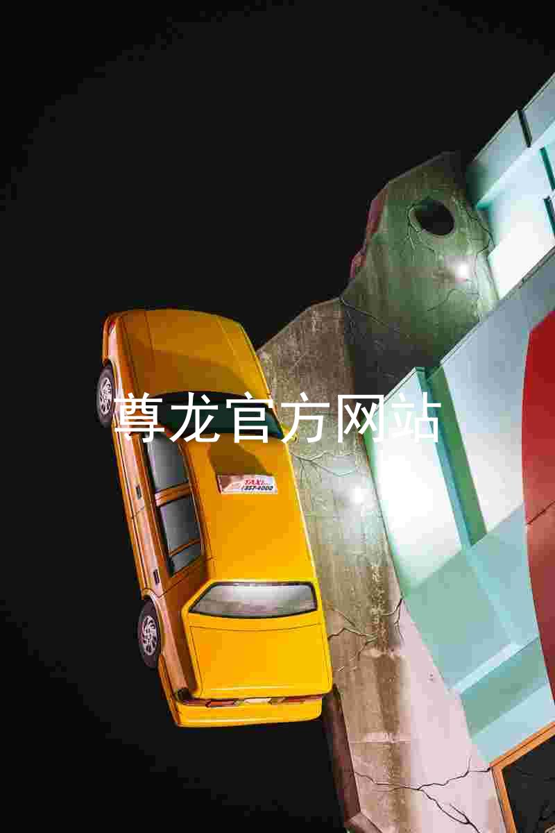 尊龙官方网站