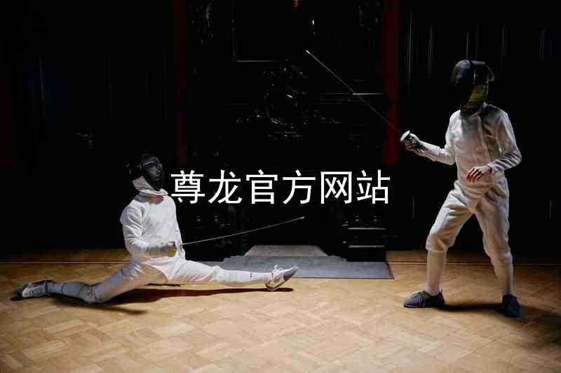 尊龙官方网站