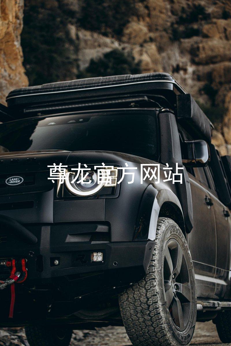 尊龙官方网站