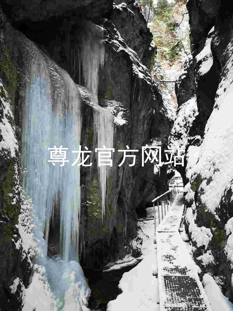 尊龙官方网站