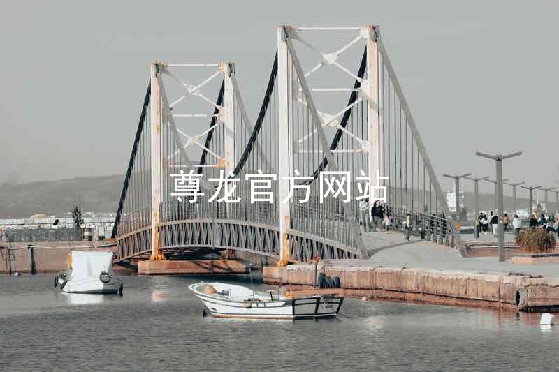 尊龙官方网站
