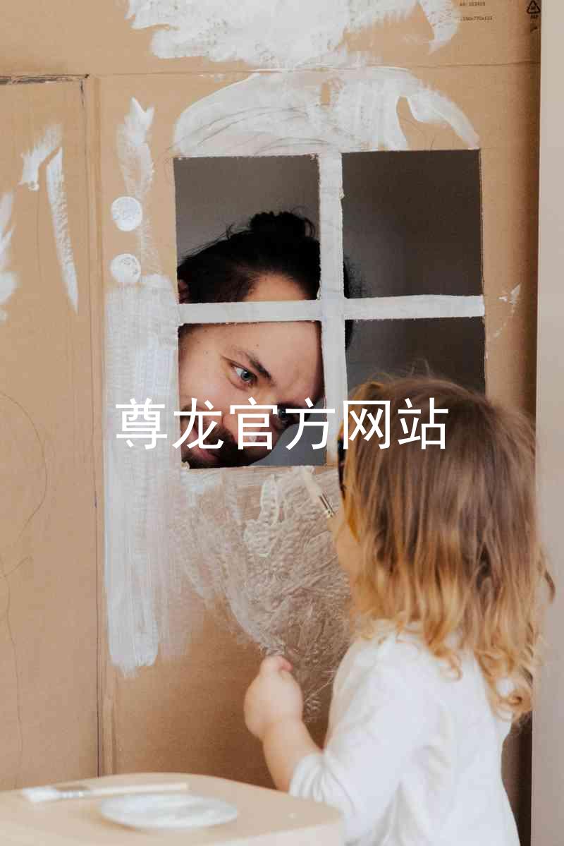 尊龙官方网站