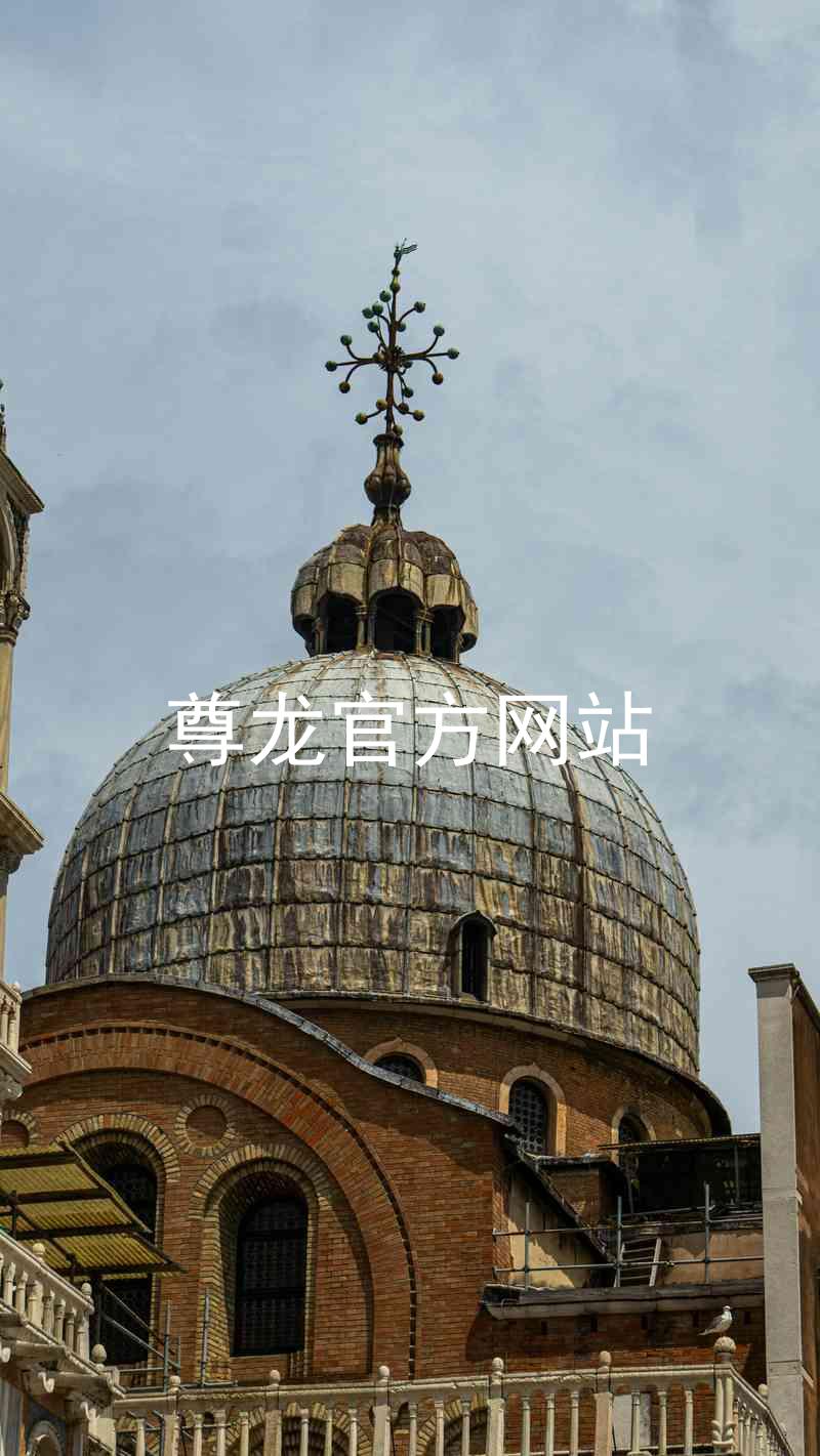尊龙官方网站