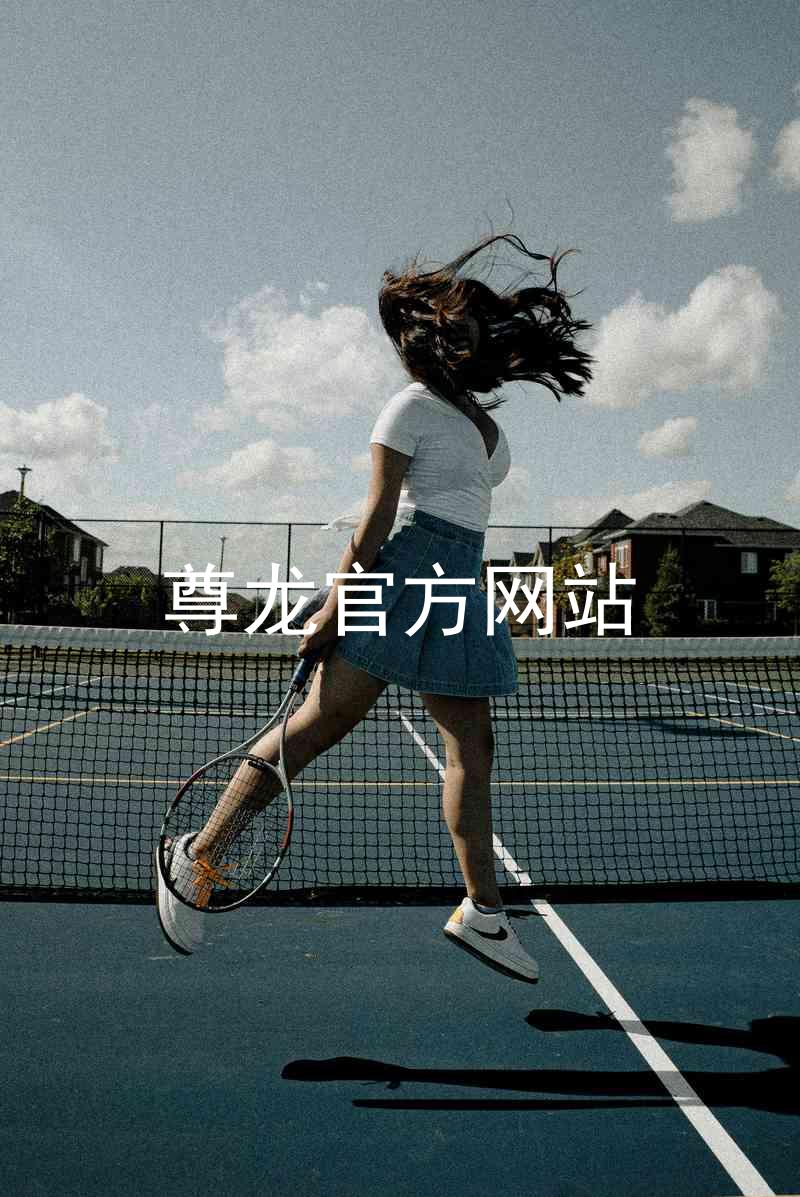 尊龙官方网站