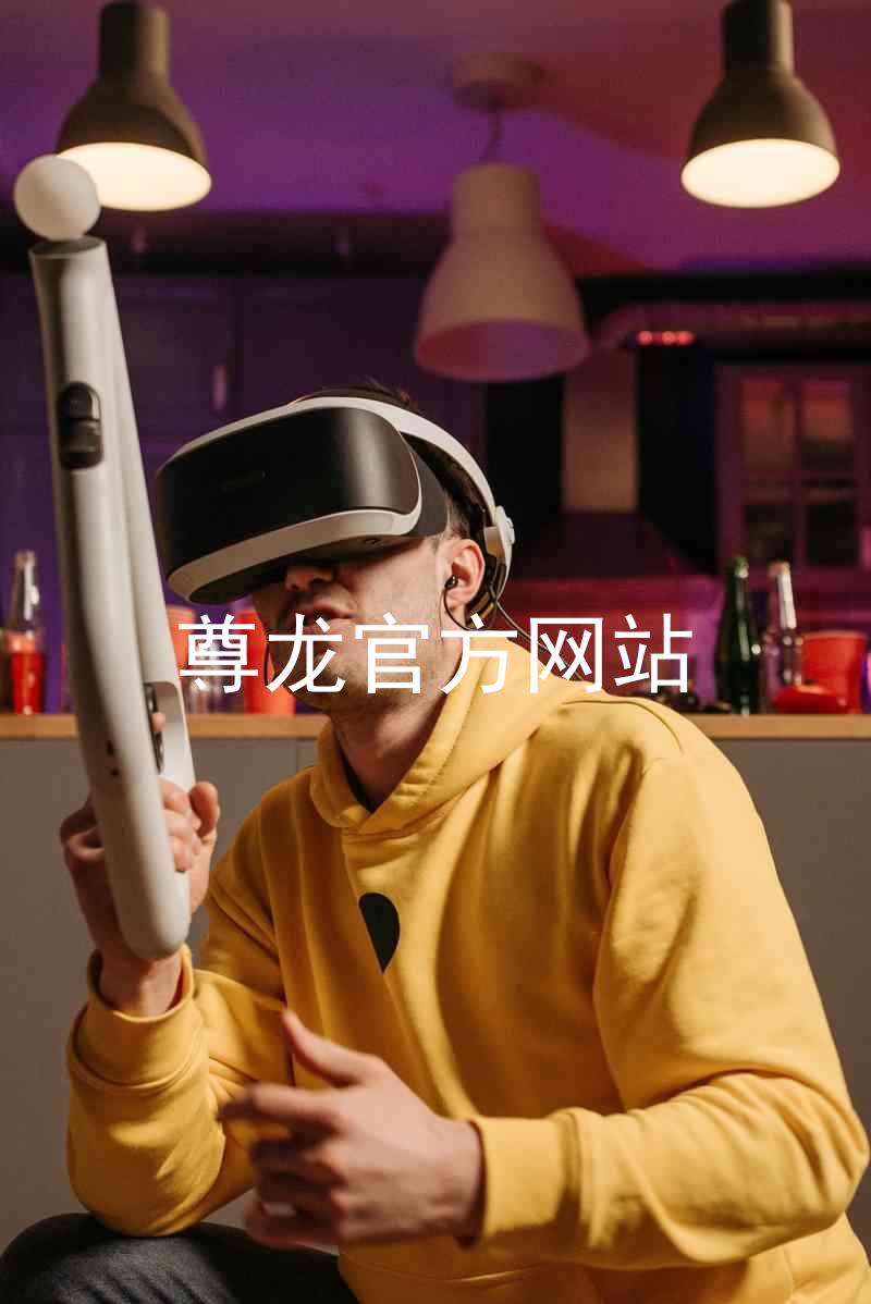 尊龙官方网站