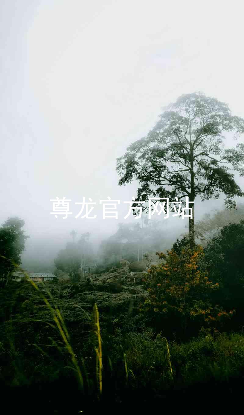 尊龙官方网站