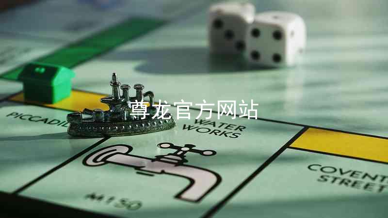 尊龙官方网站