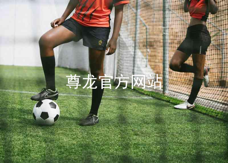 尊龙官方网站