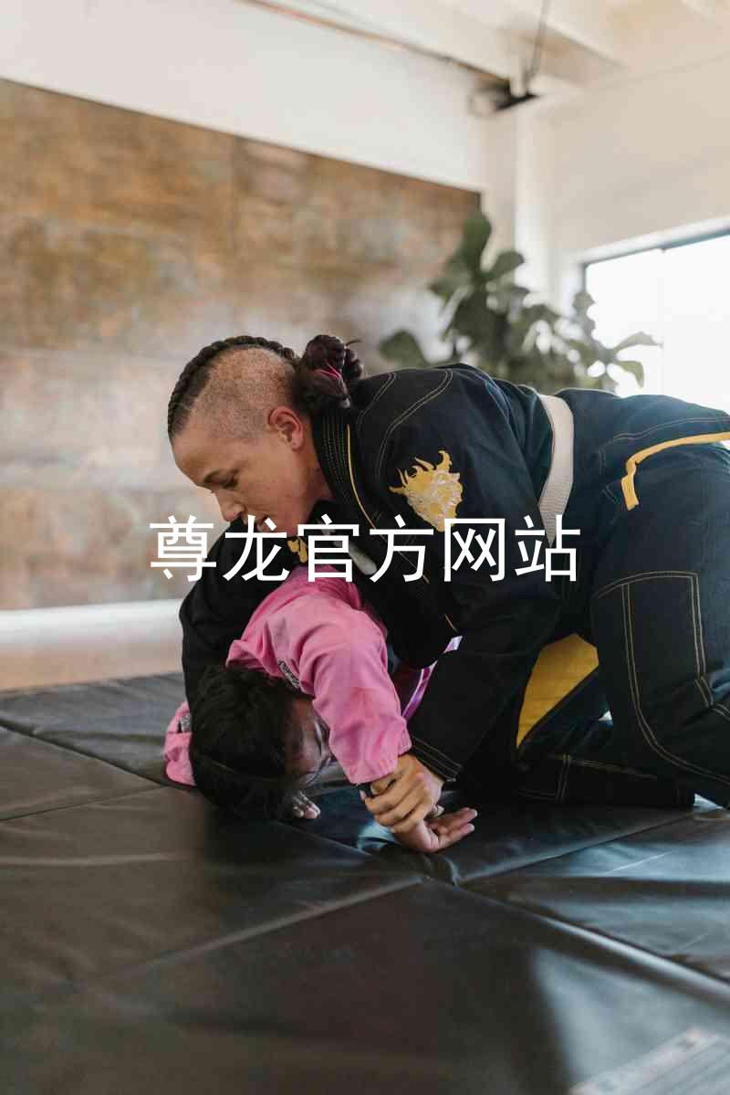 尊龙官方网站