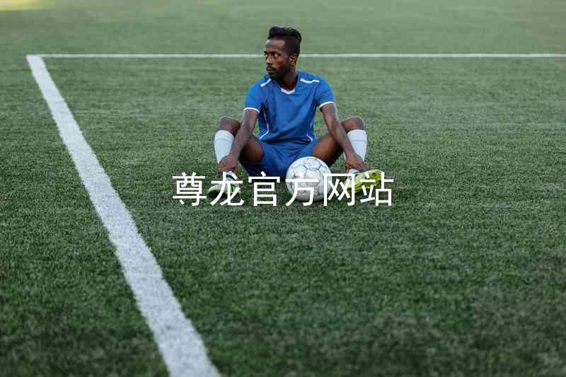 尊龙官方网站