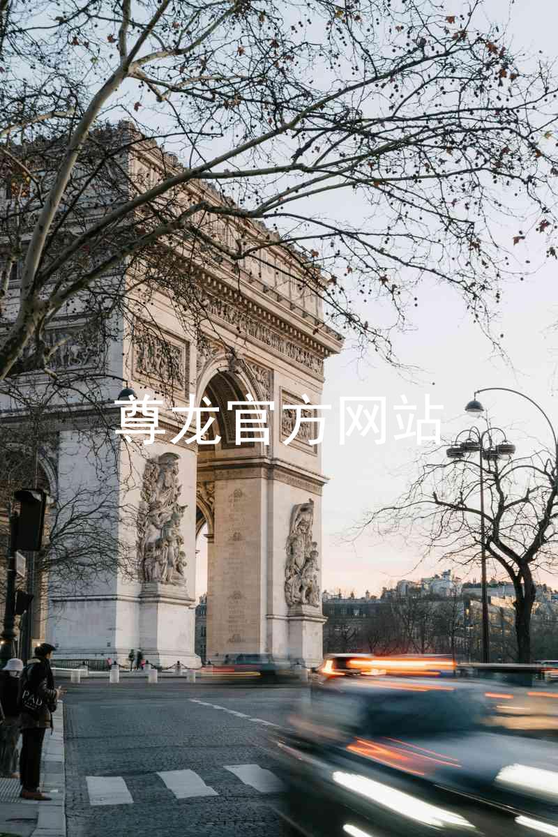 尊龙官方网站