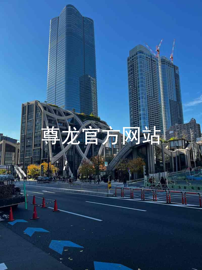 尊龙官方网站