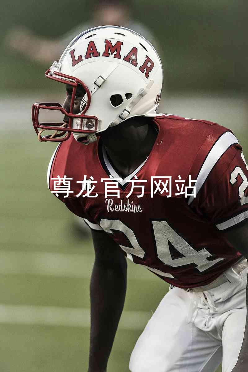 尊龙官方网站