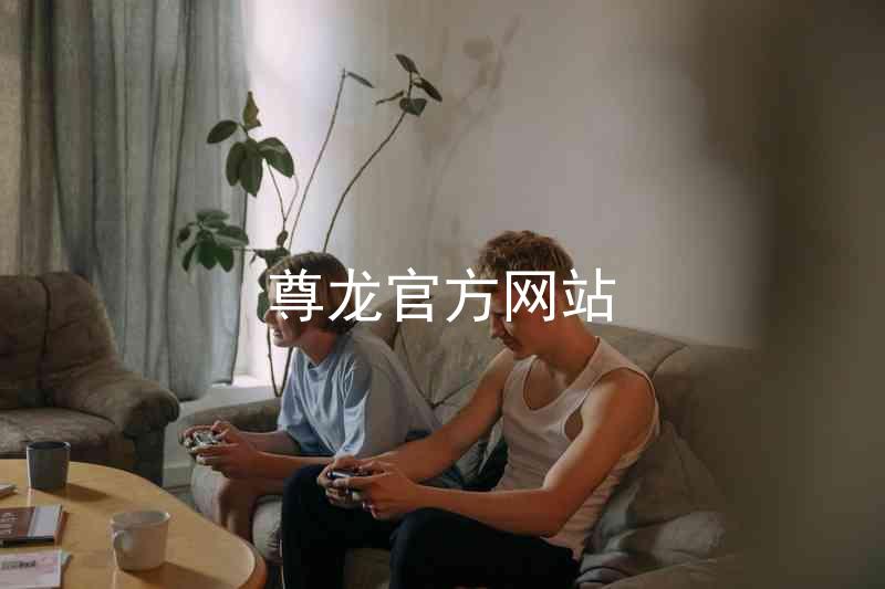尊龙官方网站