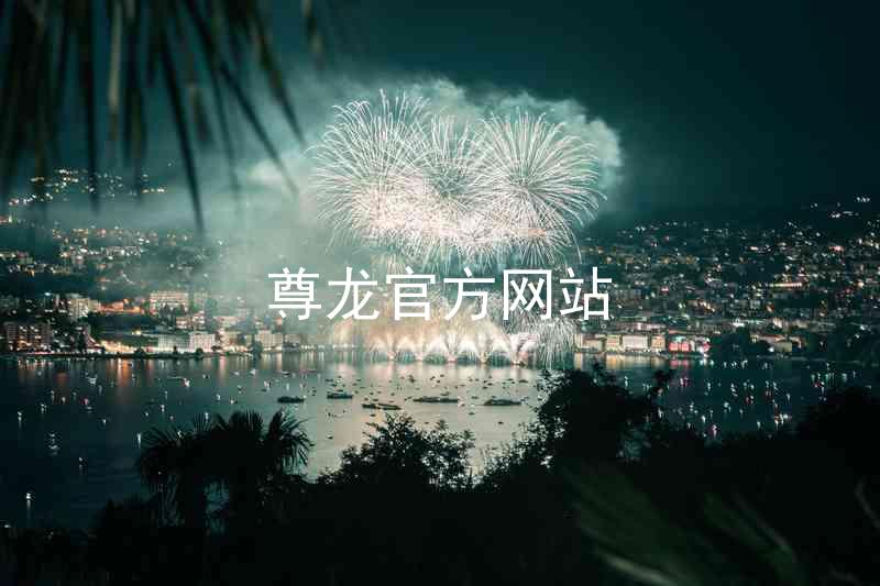 尊龙官方网站