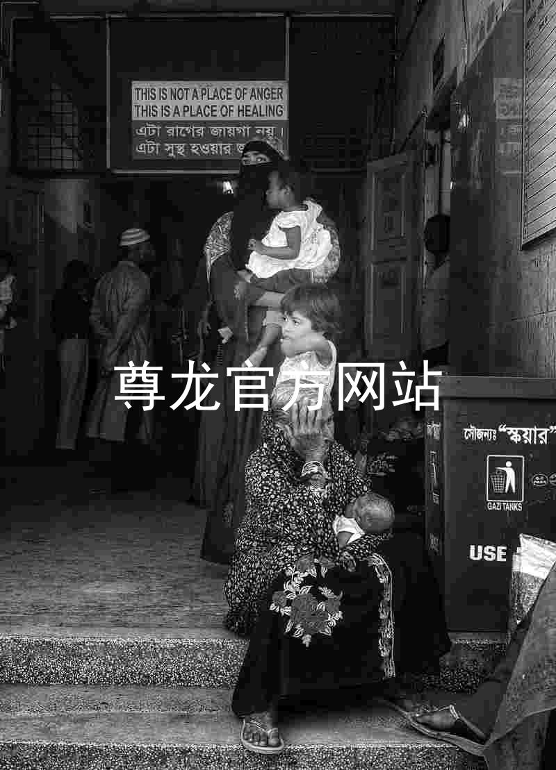 尊龙官方网站