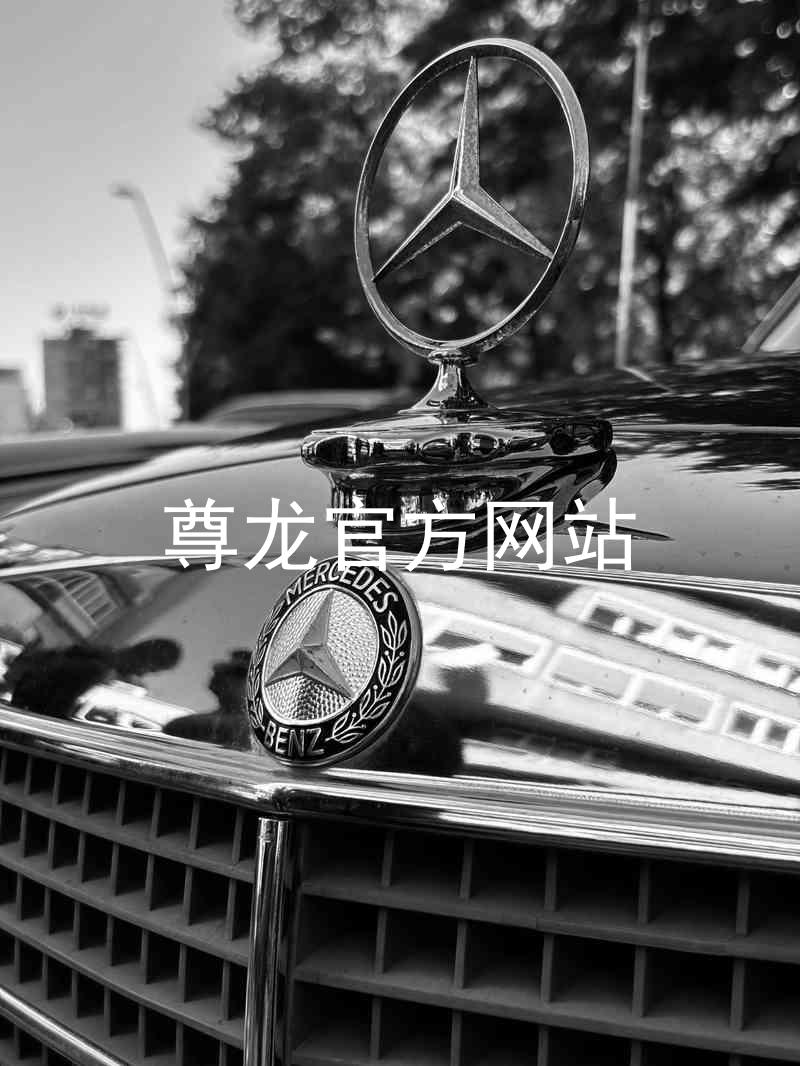 尊龙官方网站
